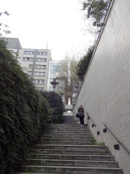 細い階段